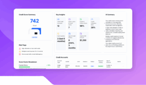 Credit Report Reader (1)