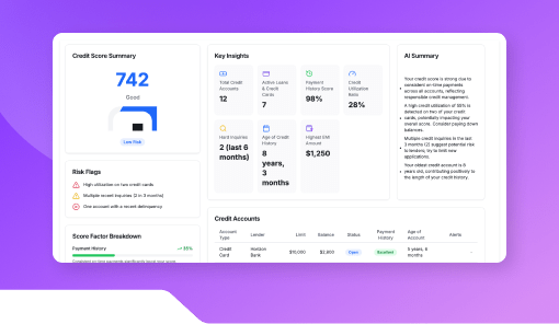 Credit Report Reader