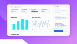 Monthly Spending Tracker (1)