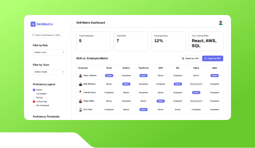 Skill Matrix Visualizer