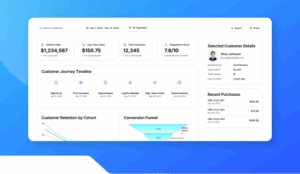 Customer Lifetime Summary Card. (1)